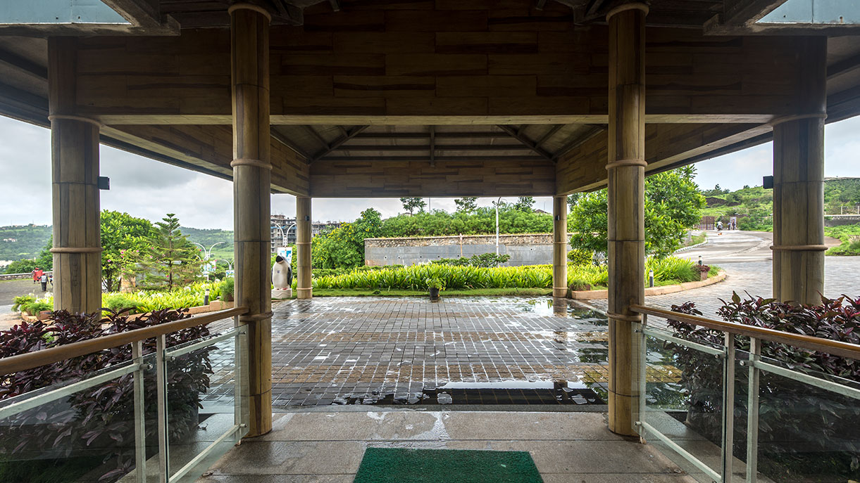 The Cliff club