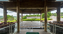 The Cliff club